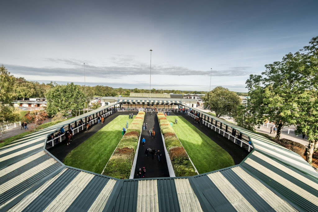 A WARM FLEXJET WELCOME AWAITS AT THE GOFFS ORBY SALE