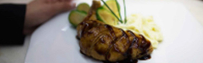 flejet private jet dining options