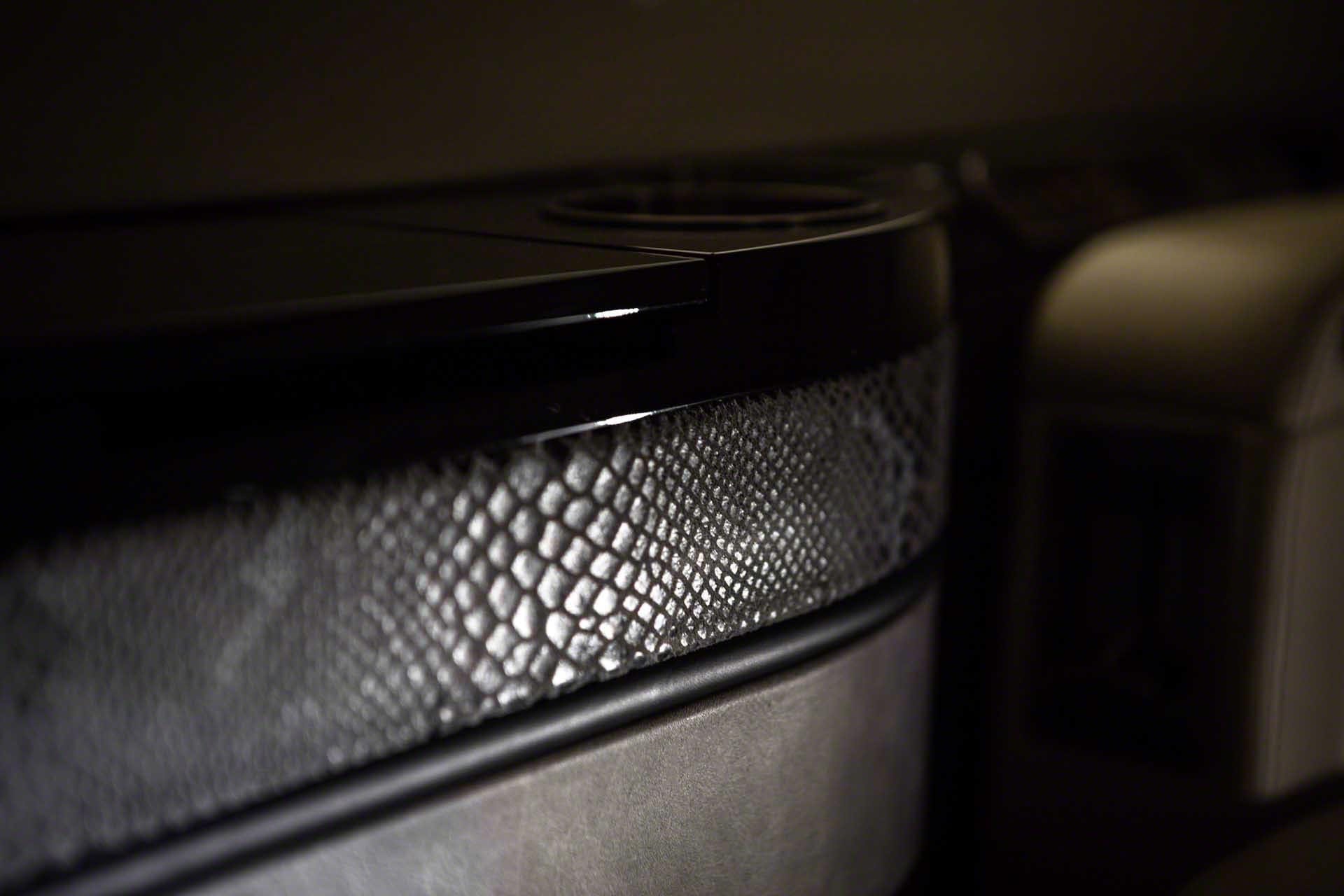 Snakeskin Accents - Gulfstream G450 LXi Santa Fe